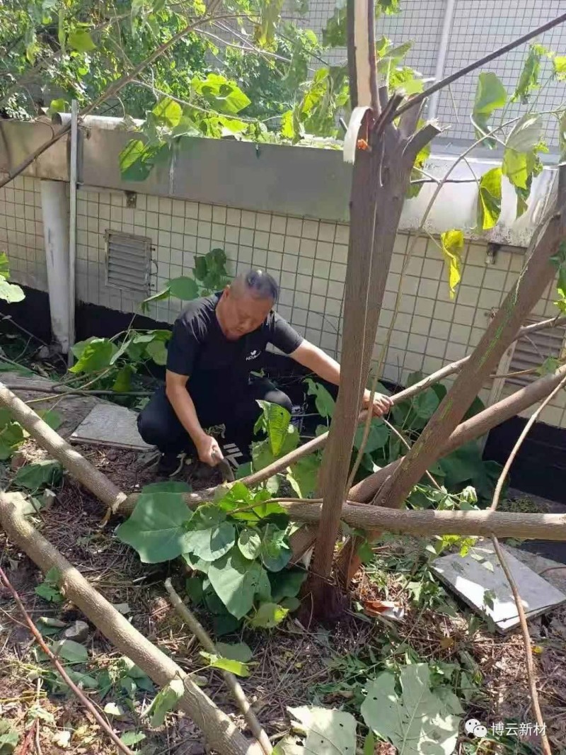 bti体育·(中国)官方网站 - APP下载